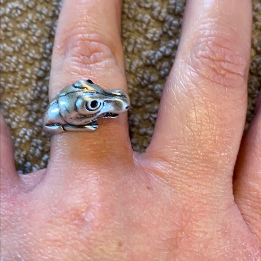 Dinosaur ring - Picture 4 of 6